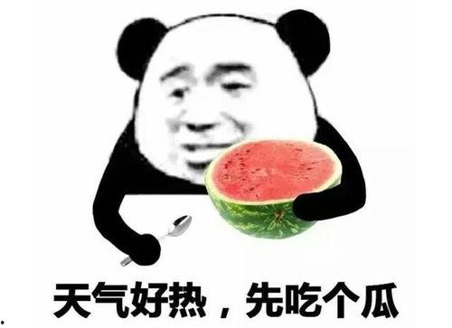 娱乐吃瓜表情包,笑料百出！
